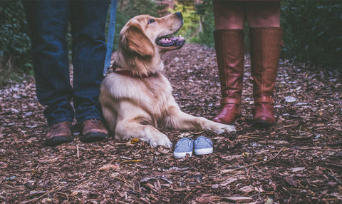 The Best Women’s Prize for Science Fiction 2018