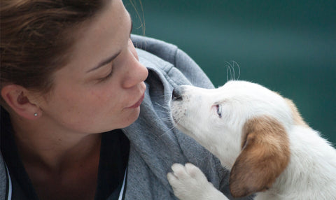 Many desktop publishing packages and page