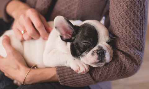 But I must explain to you how all this happened