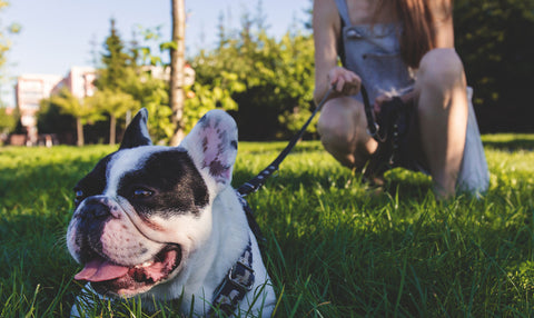 Plucked From Our Favorite Painting and Drawing